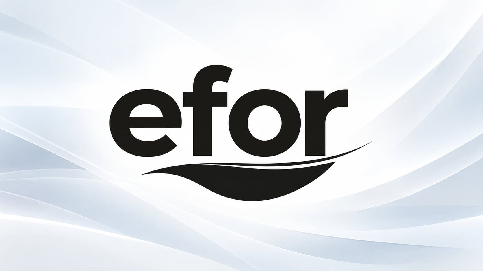 Efor Holding 2 Milyar TL’lik EFOR Planının 1,6 Milyar TL’sini Kullandı