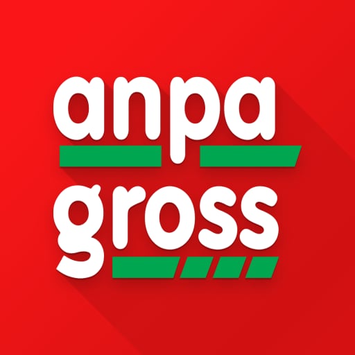 Anpa Gross halka arz hazırlığında: SPK onayı sonrası hangi bilgiler netleşecek?